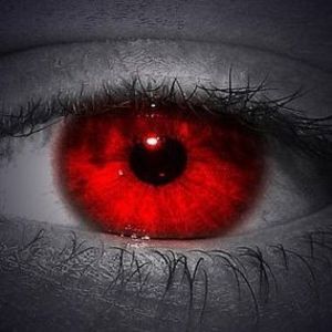 Meet your Posher, Marcelino